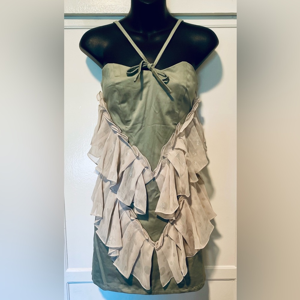 Daniela Ferrari Couture Designer Dress! 🍈